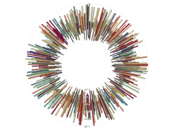 BarChart - radial-weather